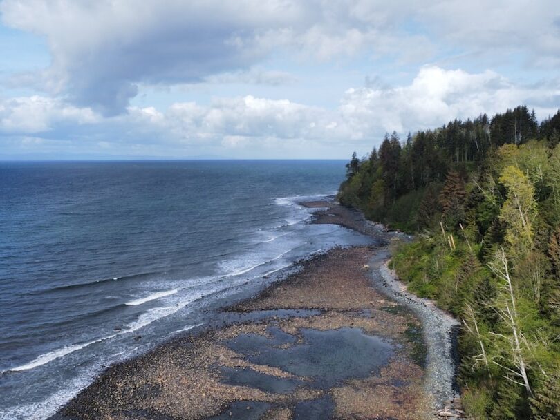 {{brizy_dc_image_alt entityId=