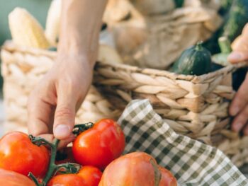 person holding red tomato fruit