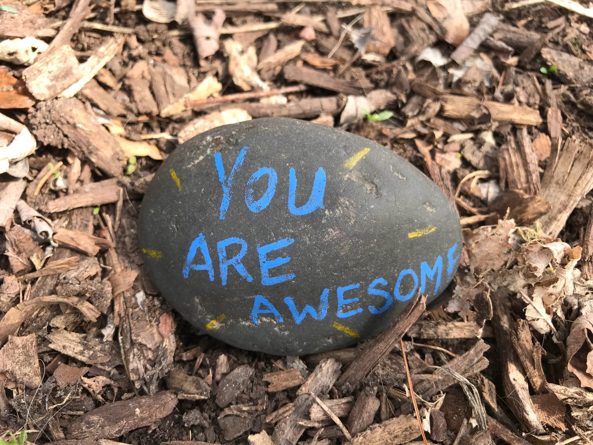 Dark oval shaped rock with the text “YOU ARE AWESOME” in blue written on it with wood chips underneath the rock