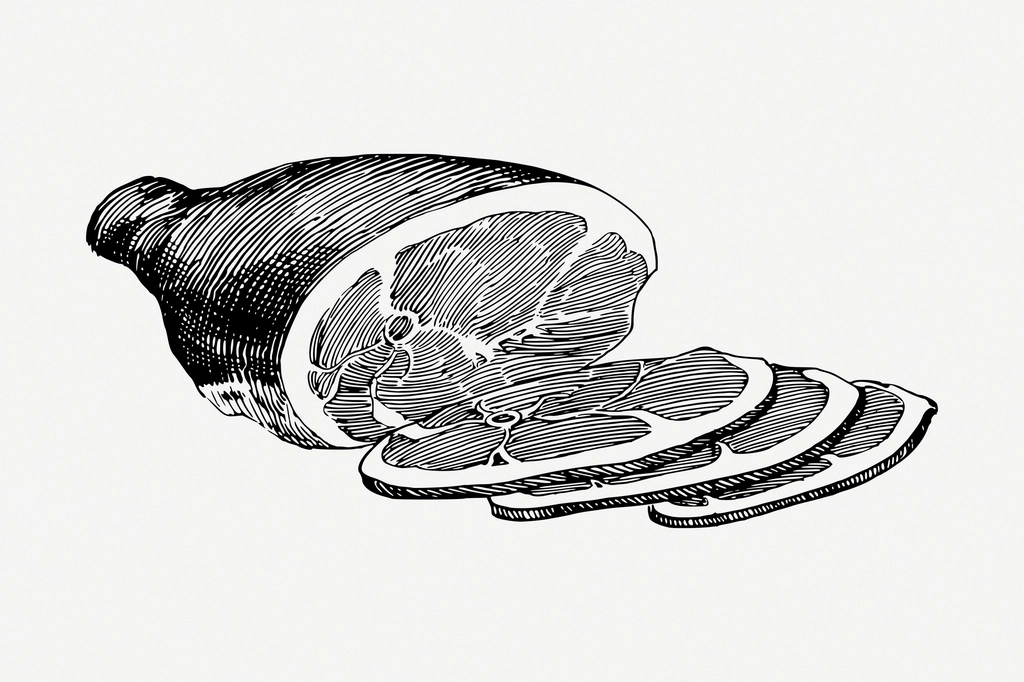 Ham drawing, vintage food illustration
