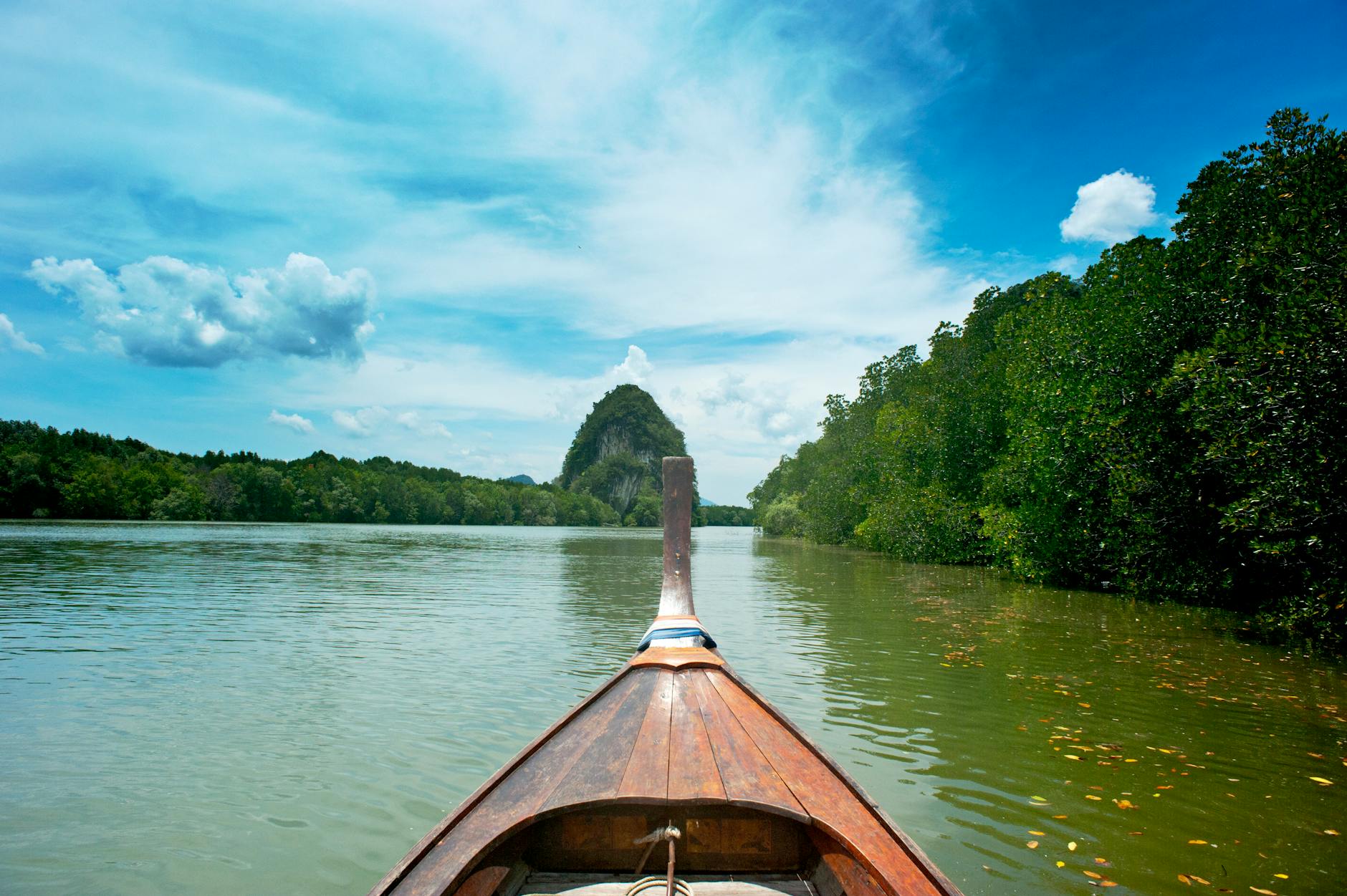 brown wooden canoe near trees