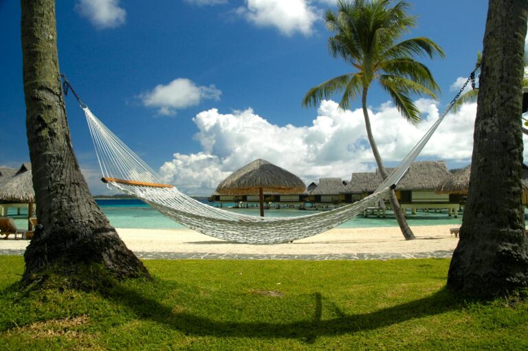 white hammock on the beach