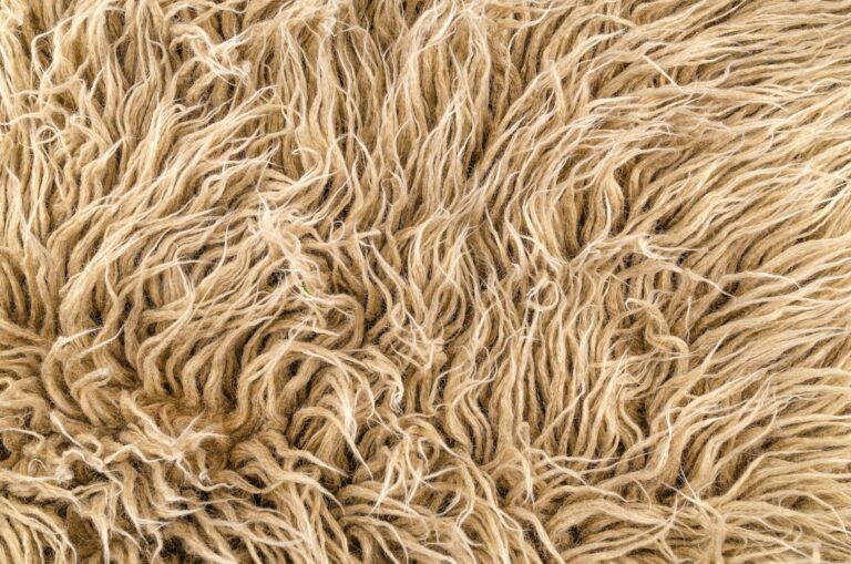 close up photo of brown furry texture