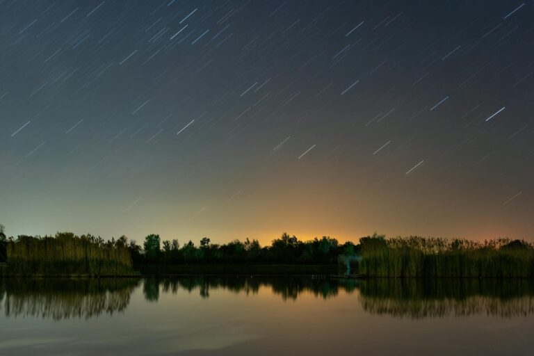 meteor shower above lake shore