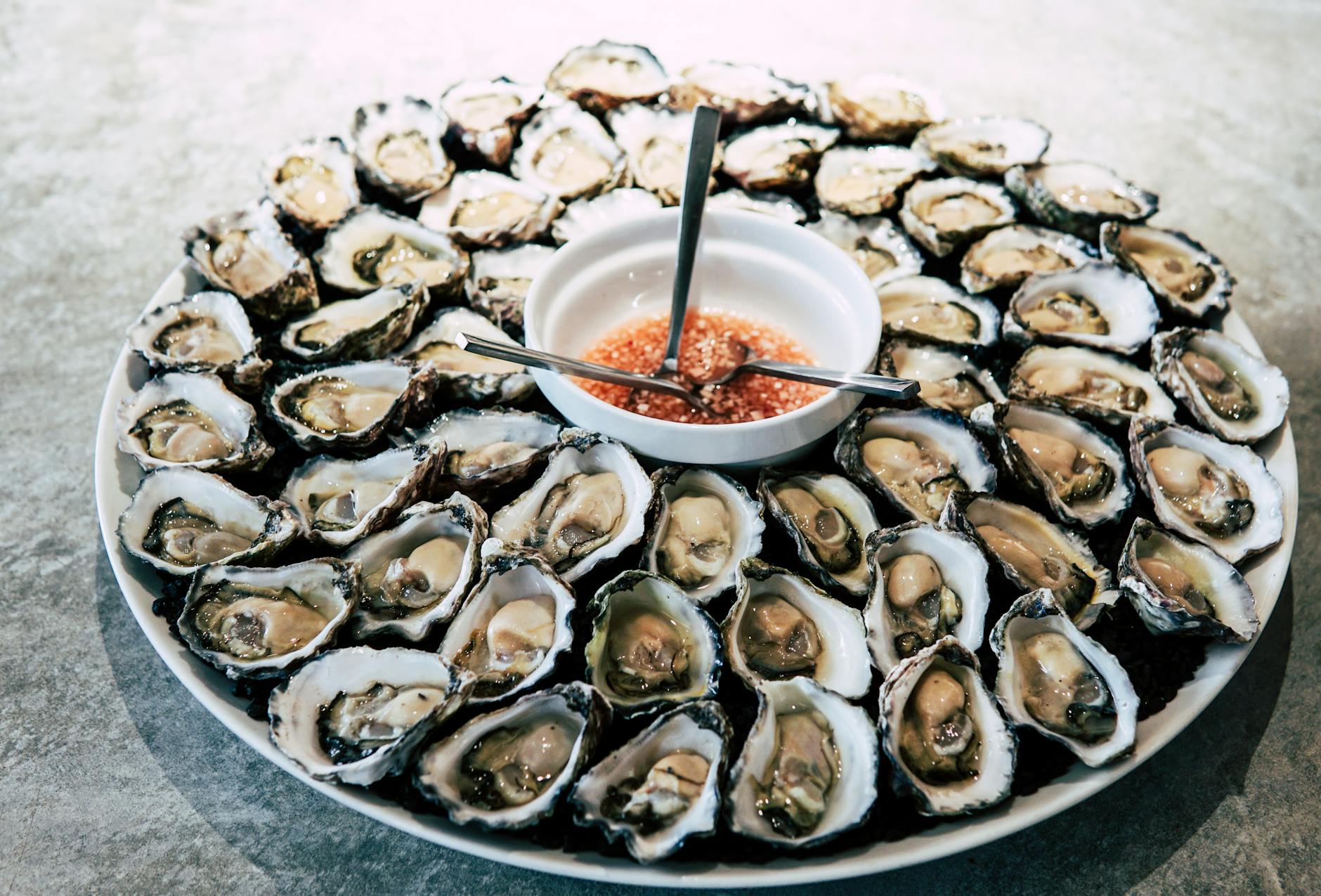 oysters on plate