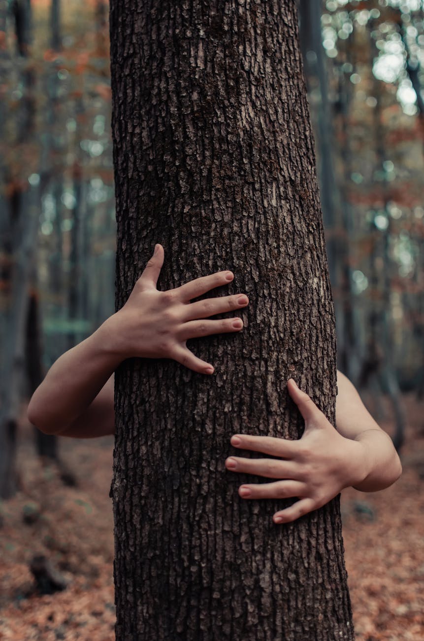 person s hand on tree trunk