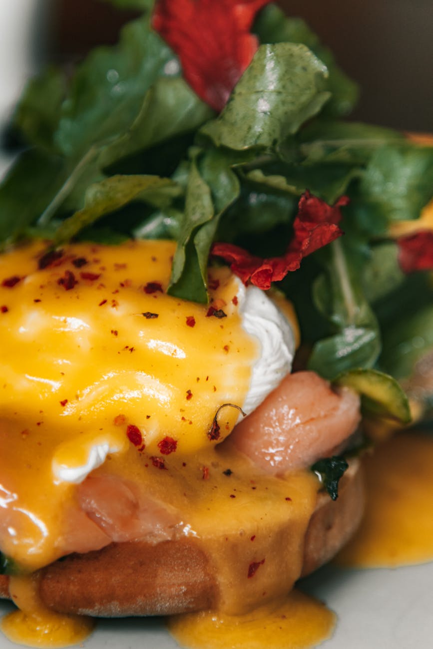 close up shot of food