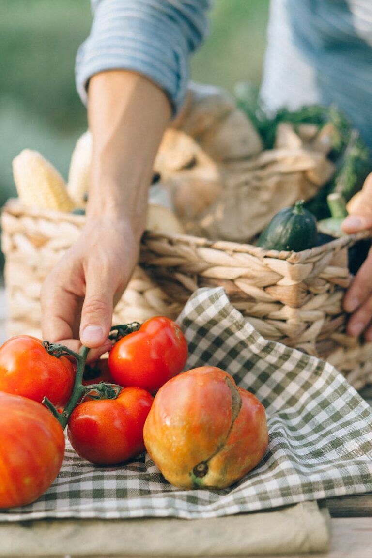 person holding red tomato fruit