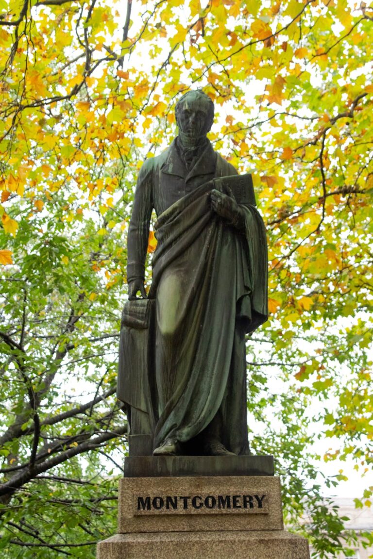 statue under a green tree