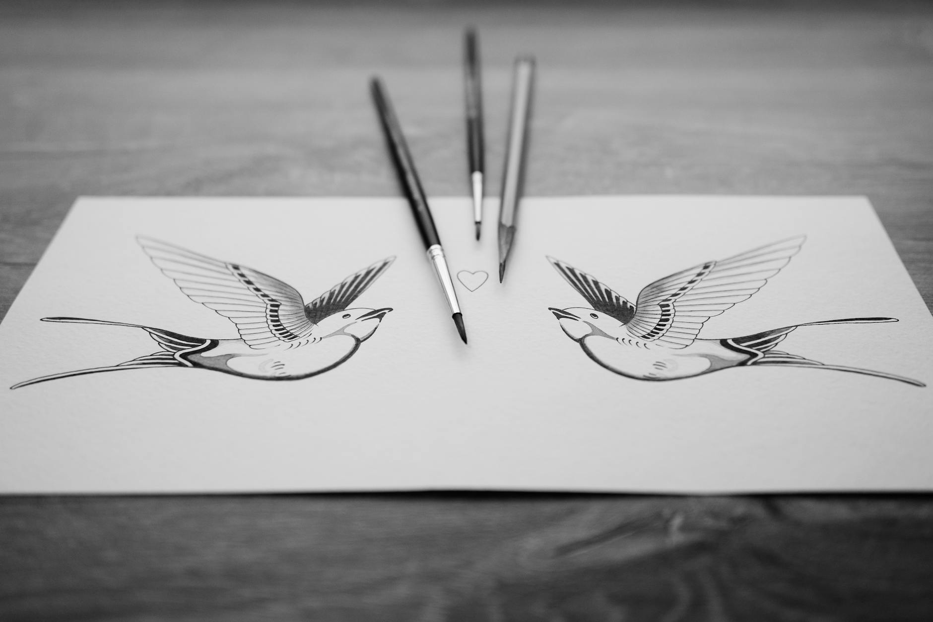 drawing of birds