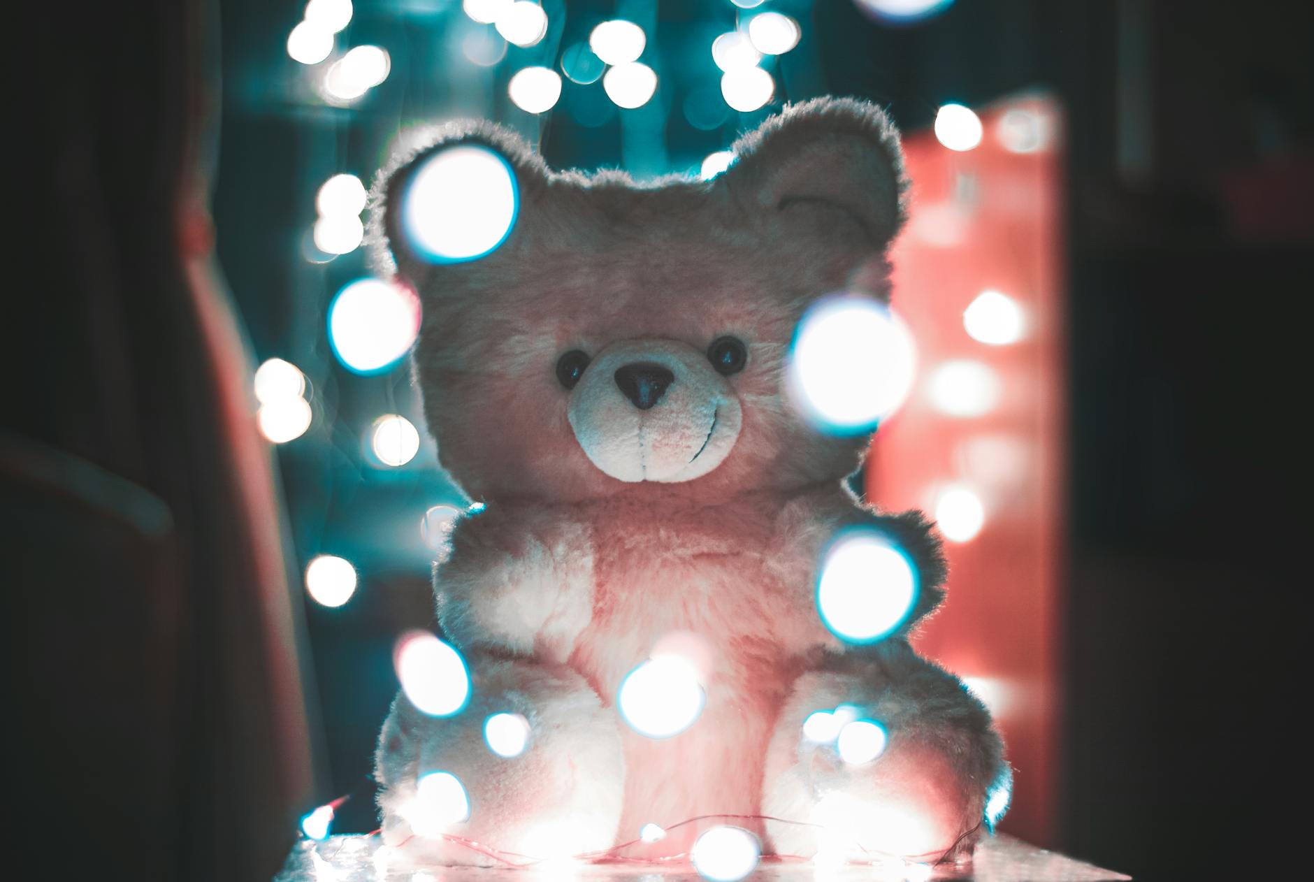 bokeh photography of pink bear plush toy