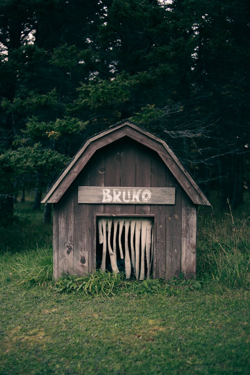 wooden doghouse with dogs name on it