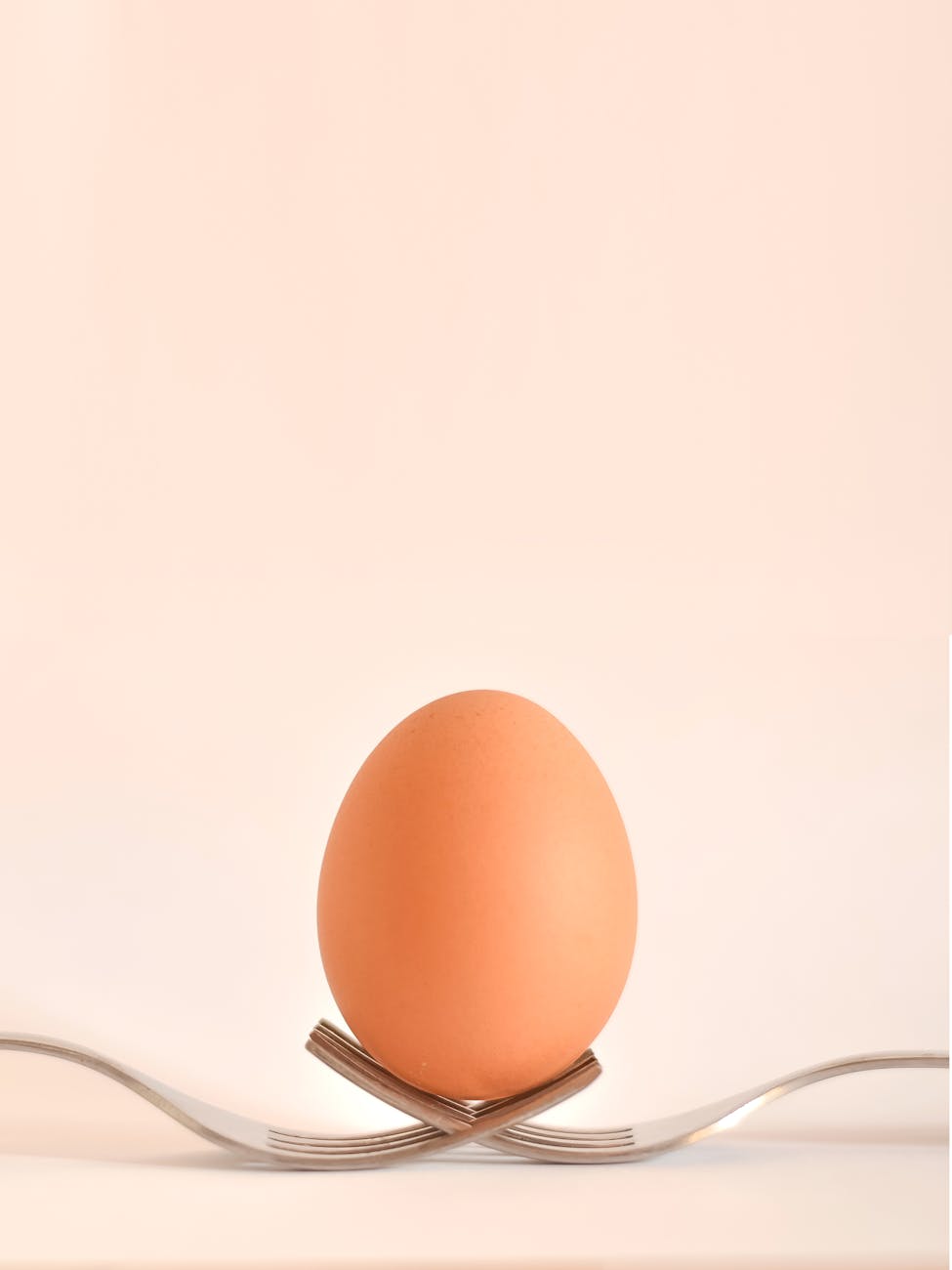 Egg Day