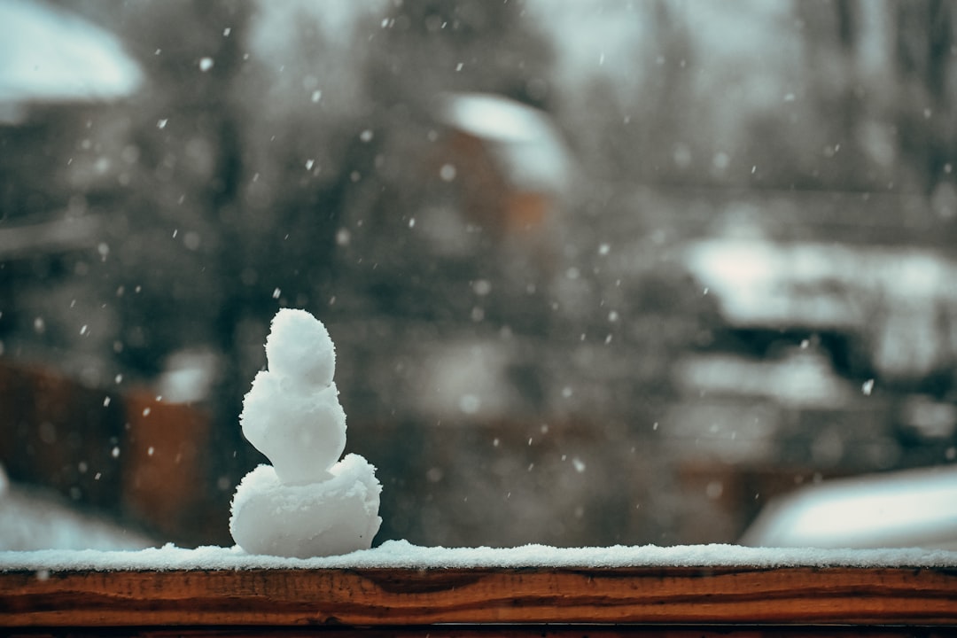Snowman Burning Day