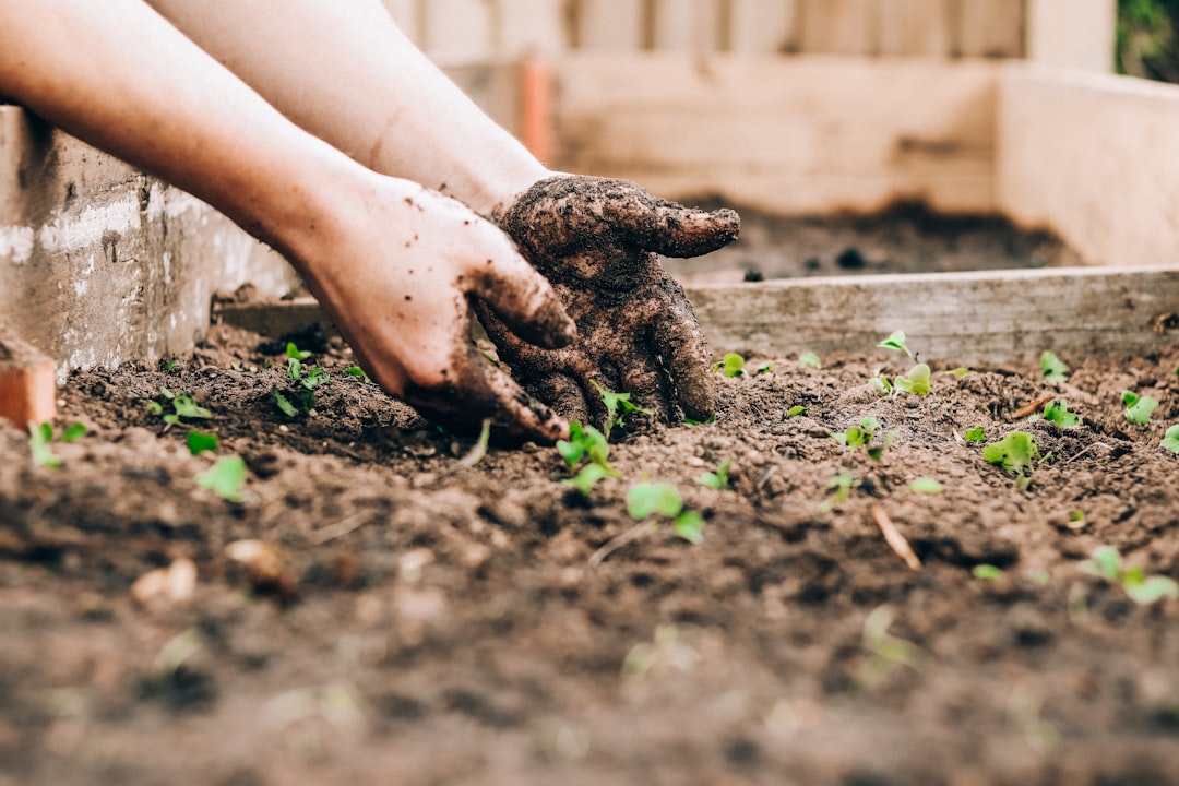 National Gardening Day