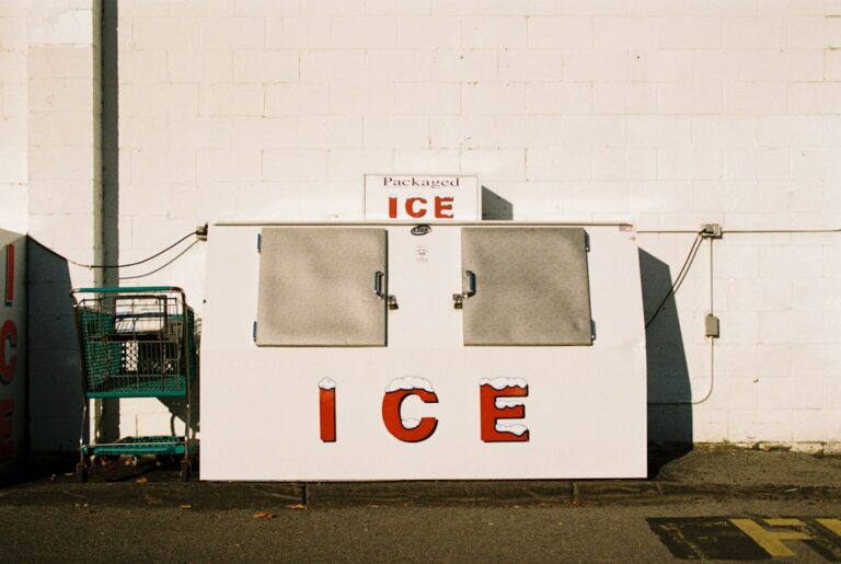 National ICEE Day