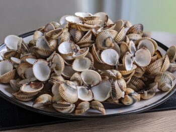Clam on the Half Shell Day