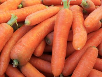 International Carrot Day