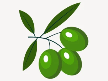 Green olive collage element vector