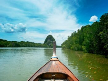 brown wooden canoe near trees