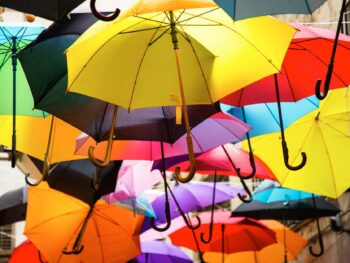 assorted colors umbrella