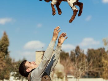 {{brizy_dc_image_alt entityId=