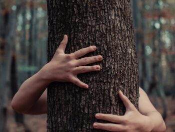 {{brizy_dc_image_alt entityId=