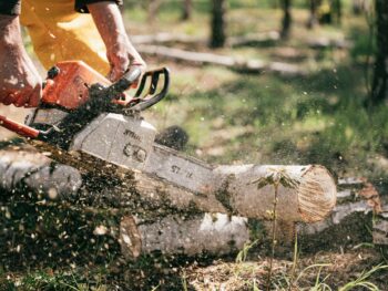 person holding chainsaw