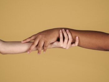 {{brizy_dc_image_alt entityId=