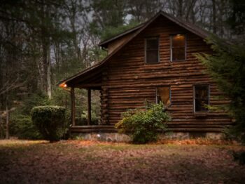 brown cabin in the woods on daytime